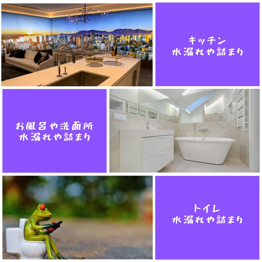 マコト マコト