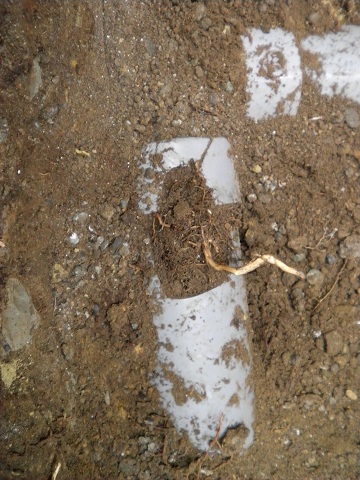 排水管施工例 排水管施工例